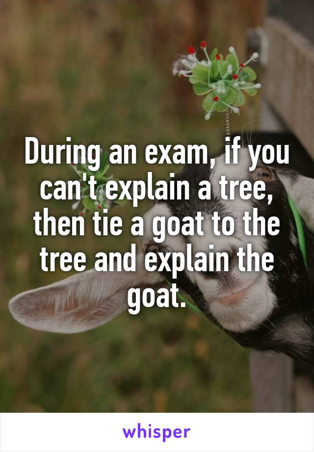 During an exam, if you can't explain a tree, then tie a goat to the tree and explain the goat.