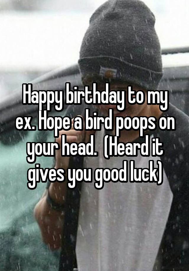 happy-birthday-to-my-ex-hope-a-bird-poops-on-your-head-heard-it