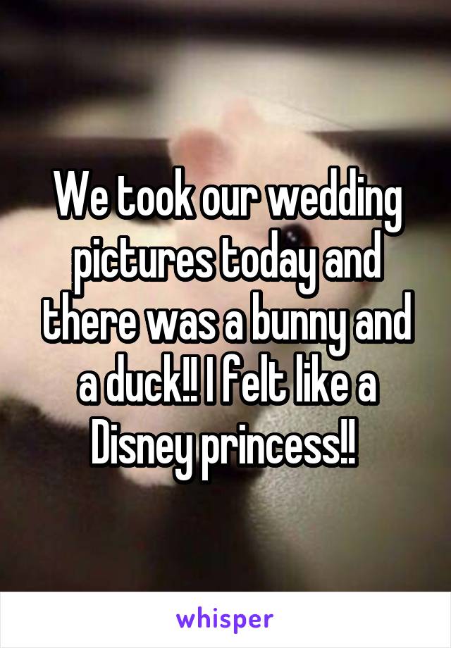 We took our wedding pictures today and there was a bunny and a duck!! I felt like a Disney princess!! 