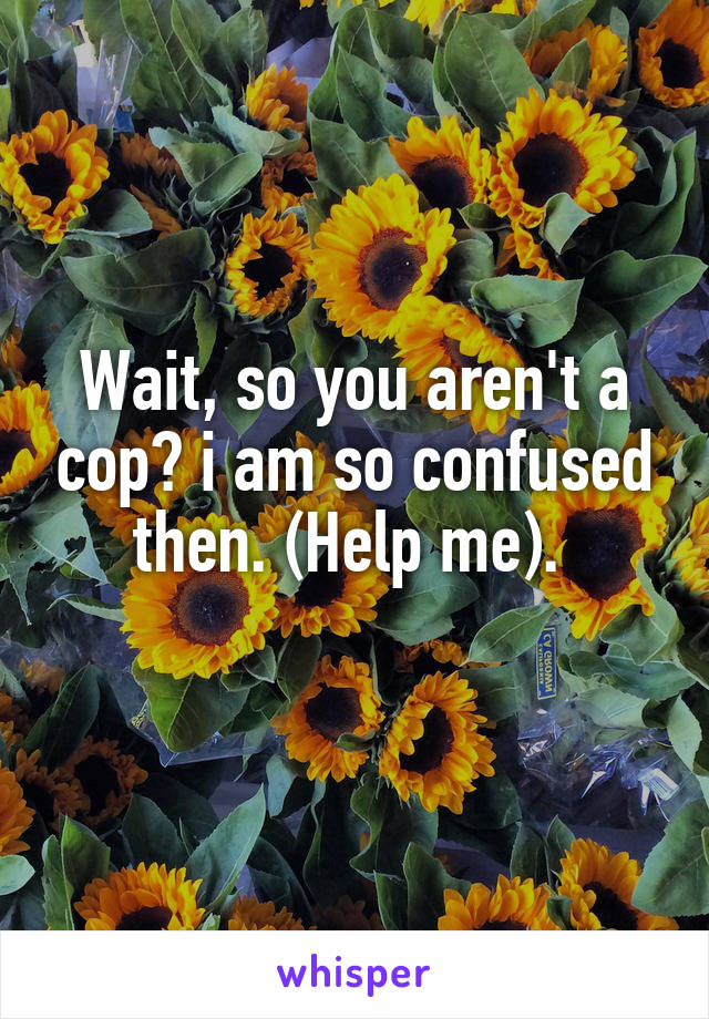 Wait, so you aren't a cop? i am so confused then. (Help me). 
