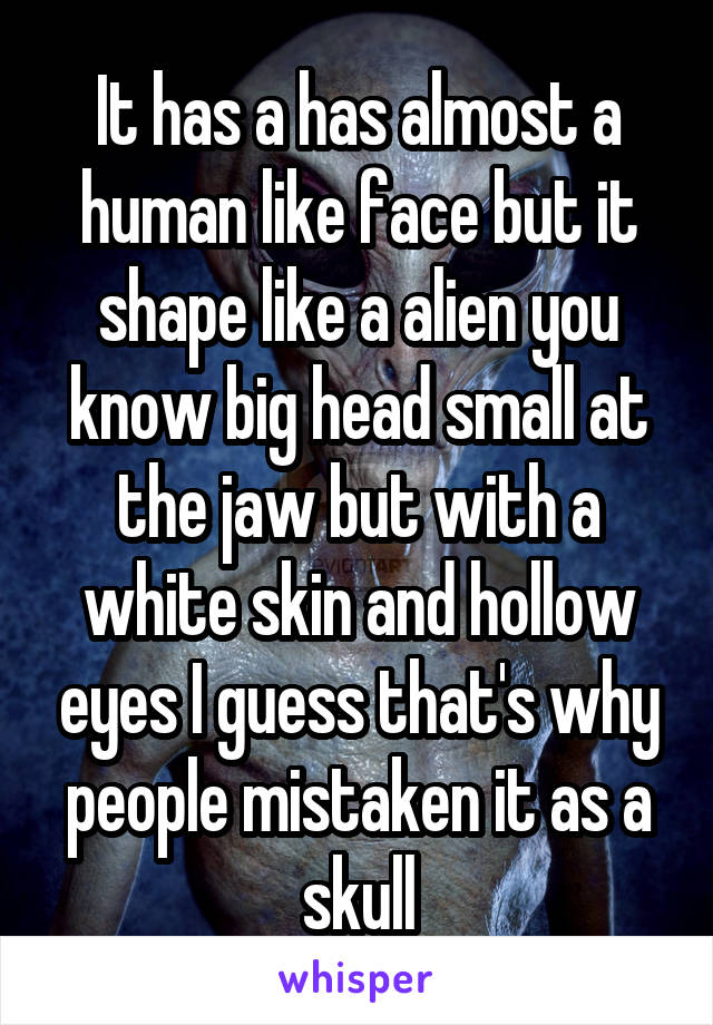 It has a has almost a human like face but it shape like a alien you know big head small at the jaw but with a white skin and hollow eyes I guess that's why people mistaken it as a skull