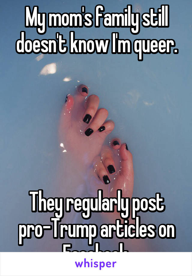 My mom's family still doesn't know I'm queer.





They regularly post pro-Trump articles on Facebook.