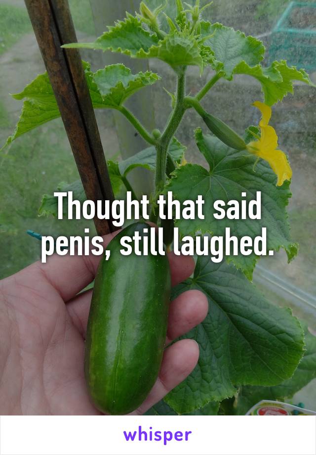 Thought that said penis, still laughed.