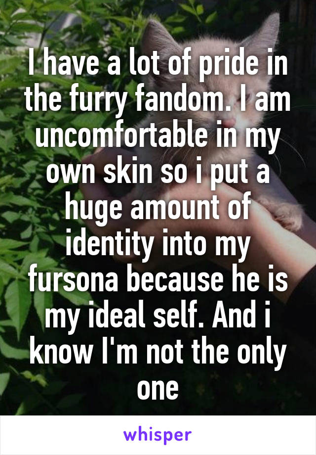 I have a lot of pride in the furry fandom. I am uncomfortable in my own skin so i put a huge amount of identity into my fursona because he is my ideal self. And i know I'm not the only one