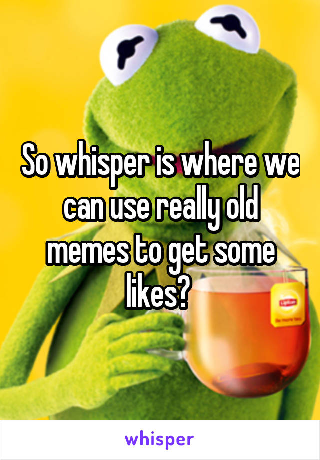 So whisper is where we can use really old memes to get some likes? 
