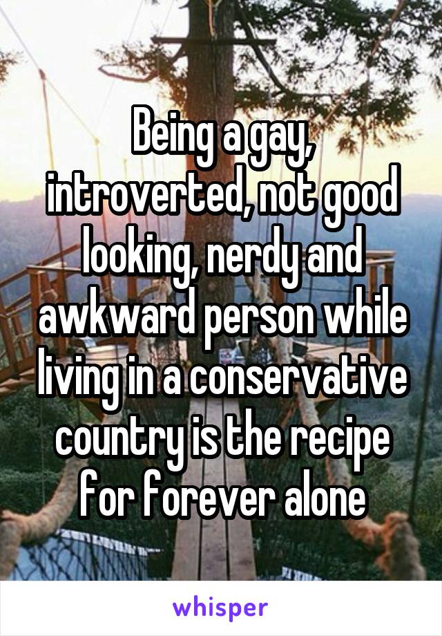 Being a gay, introverted, not good looking, nerdy and awkward person while living in a conservative country is the recipe for forever alone