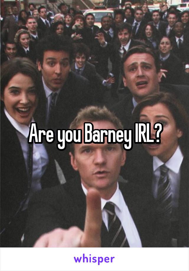 Are you Barney IRL?