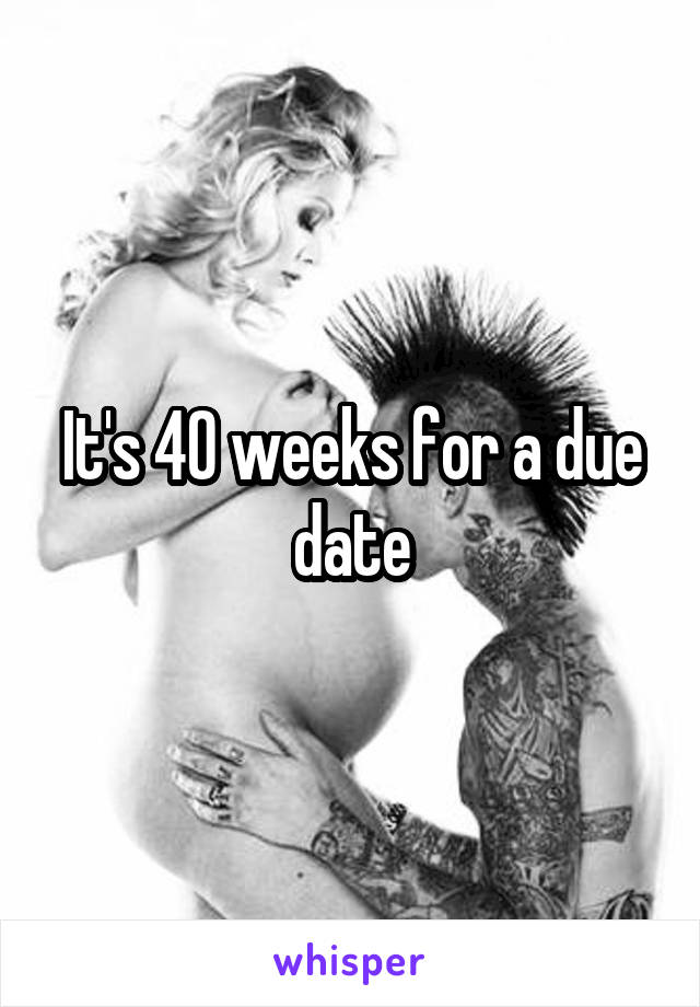 It's 40 weeks for a due date