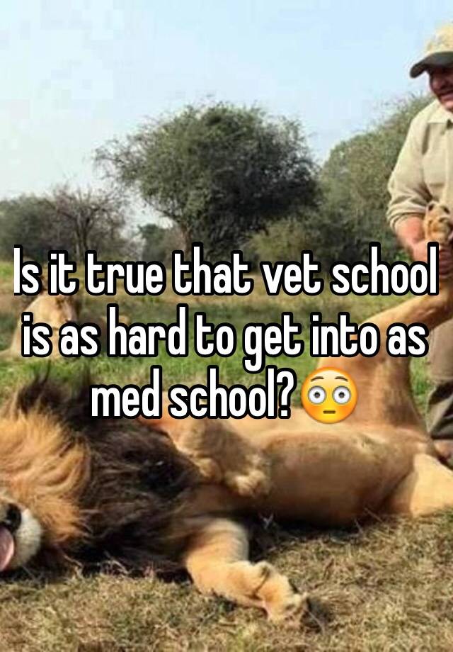 veterinary-science-veterinary-school-veterinary-hospital-veterinary