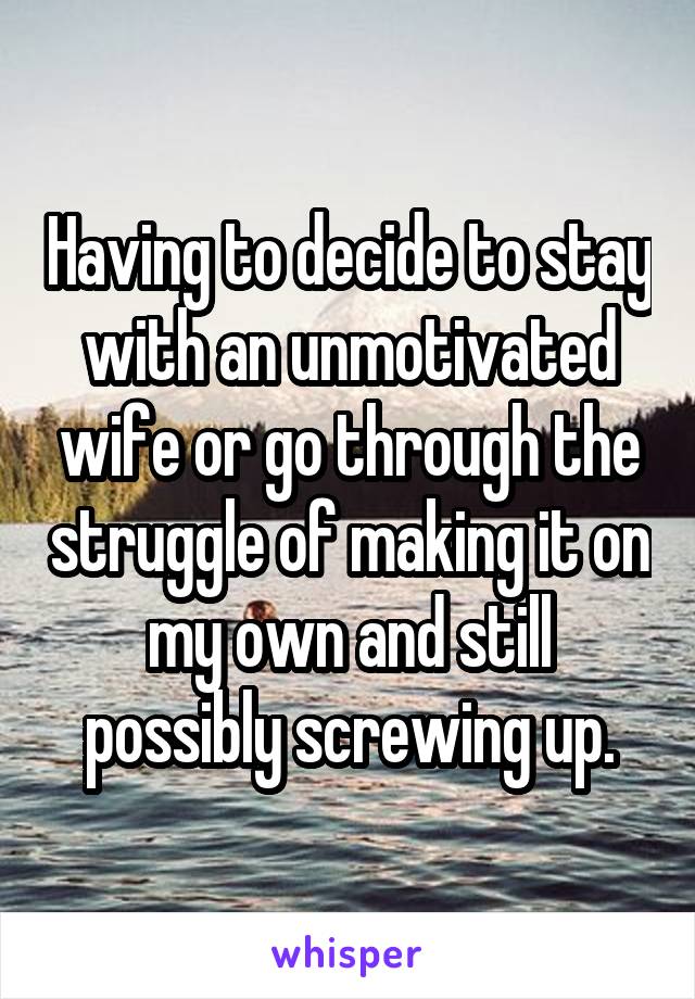 Having to decide to stay with an unmotivated wife or go through the struggle of making it on my own and still possibly screwing up.