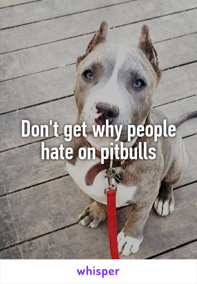 Don't get why people hate on pitbulls