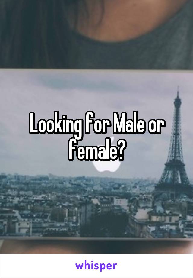 Looking for Male or female?