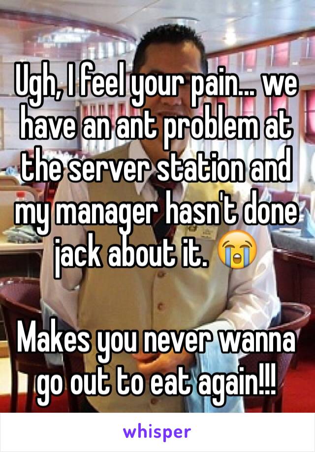 Ugh, I feel your pain... we have an ant problem at the server station and my manager hasn't done jack about it. 😭

Makes you never wanna go out to eat again!!!