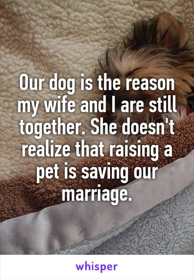 Our dog is the reason my wife and I are still together. She doesn't realize that raising a pet is saving our marriage.