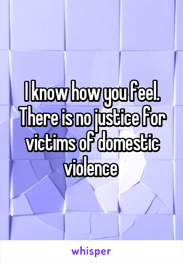 I know how you feel. There is no justice for victims of domestic violence 