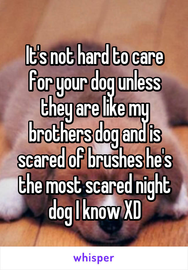 It's not hard to care for your dog unless they are like my brothers dog and is scared of brushes he's the most scared night dog I know XD