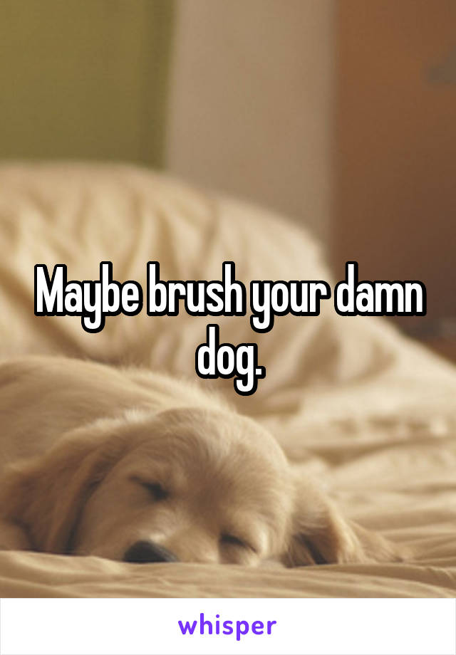 Maybe brush your damn dog.