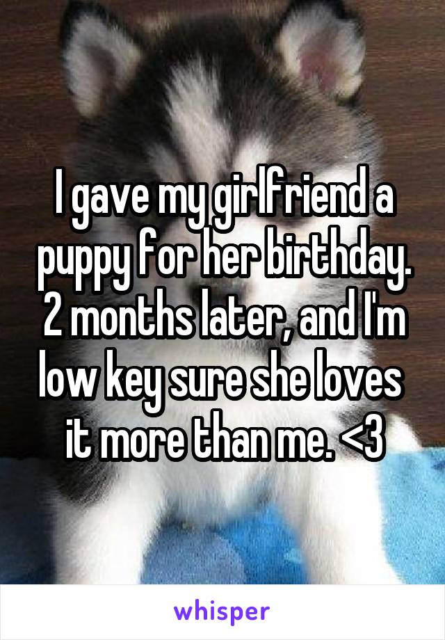 I gave my girlfriend a puppy for her birthday. 2 months later, and I'm low key sure she loves  it more than me. <\3