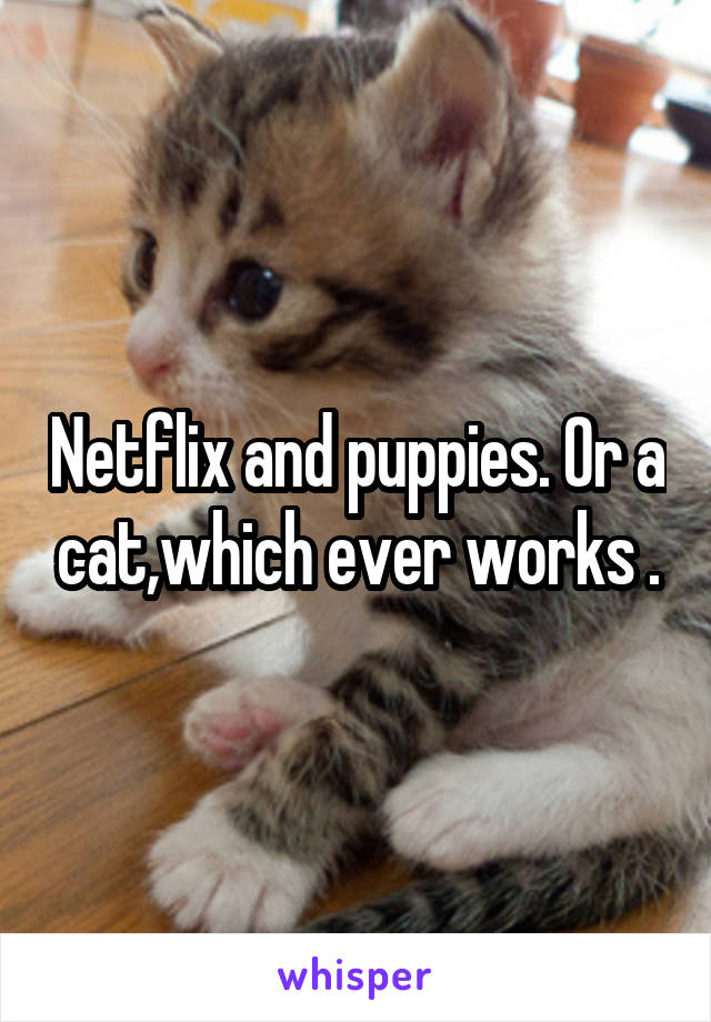 Netflix and puppies. Or a cat,which ever works .