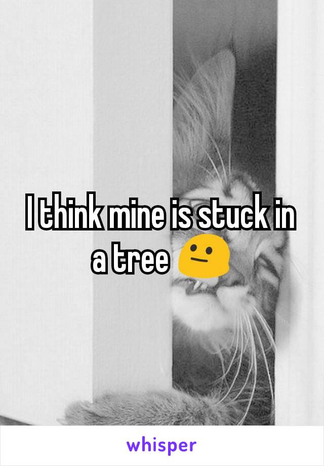 I think mine is stuck in a tree 😐