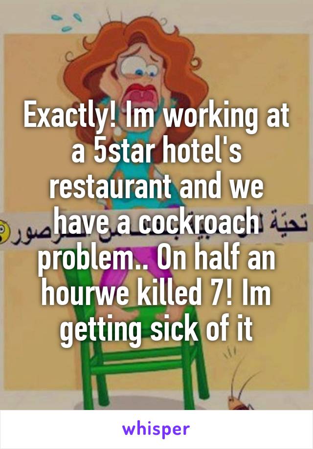 Exactly! Im working at a 5star hotel's restaurant and we have a cockroach problem.. On half an hourwe killed 7! Im getting sick of it