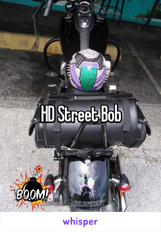 HD Street Bob