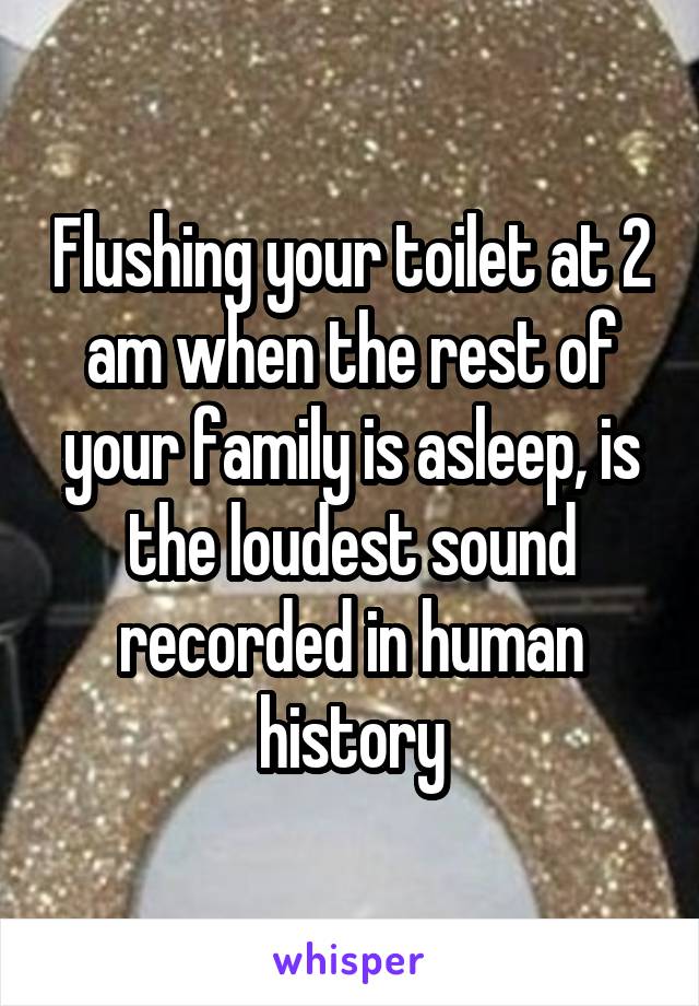 Flushing your toilet at 2 am when the rest of your family is asleep, is the loudest sound recorded in human history