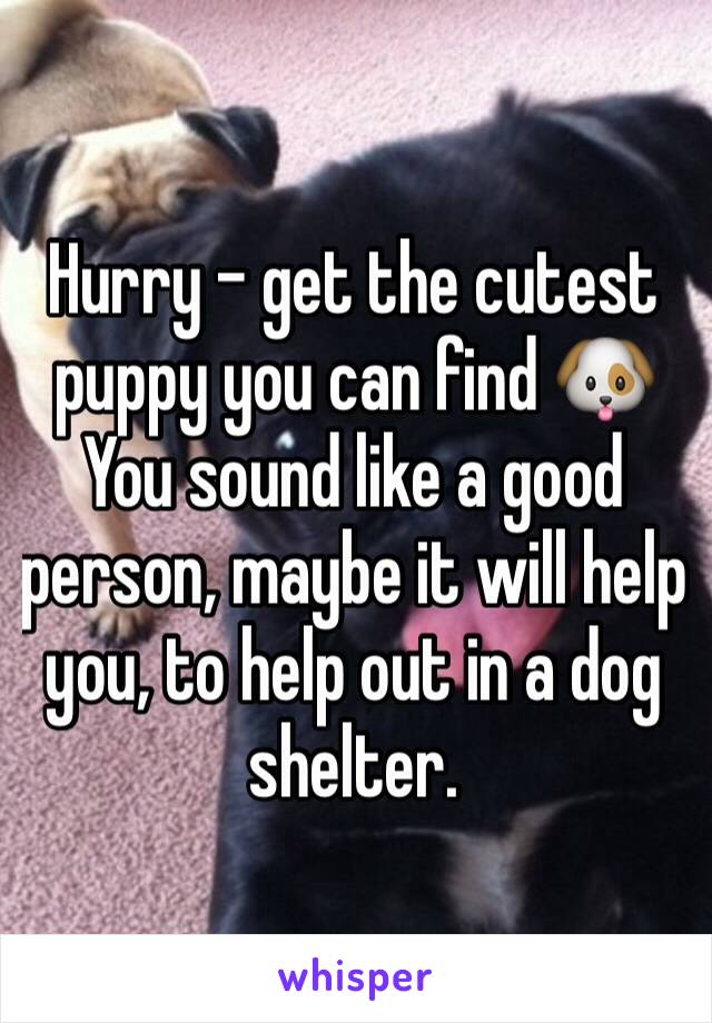 Hurry - get the cutest puppy you can find 🐶
You sound like a good person, maybe it will help you, to help out in a dog shelter.