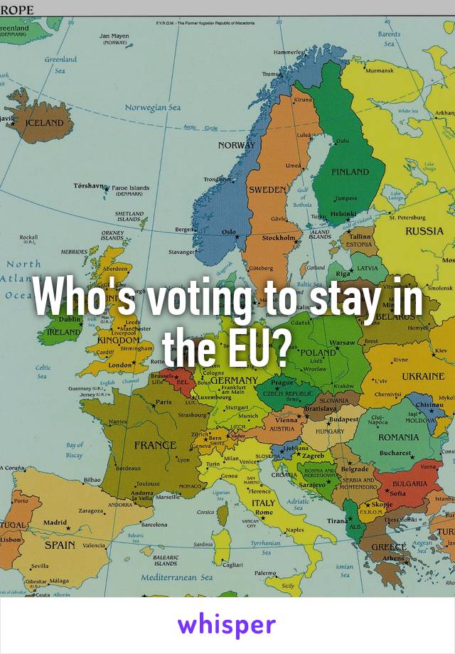 Who's voting to stay in the EU?
