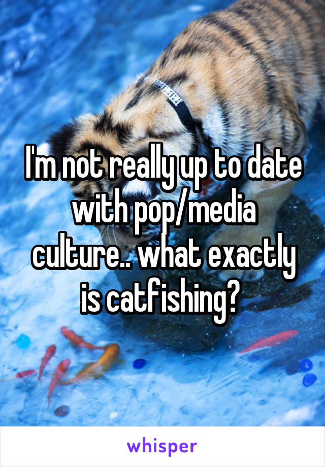 I'm not really up to date with pop/media culture.. what exactly is catfishing? 