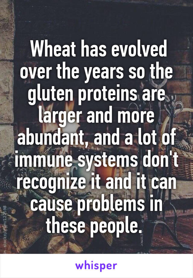  Wheat has evolved over the years so the gluten proteins are larger and more abundant, and a lot of immune systems don't recognize it and it can cause problems in these people. 