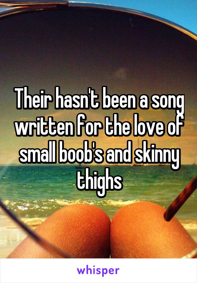Their hasn't been a song written for the love of small boob's and skinny thighs