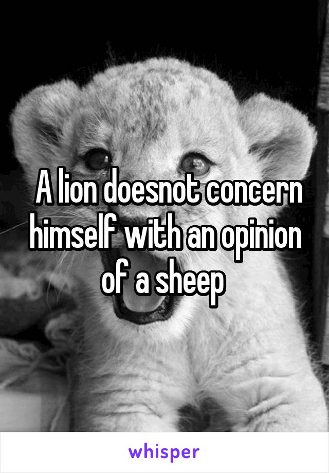  A lion doesnot concern himself with an opinion of a sheep 