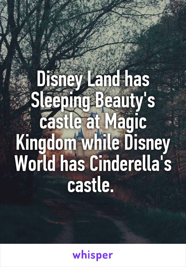 Disney Land has Sleeping Beauty's castle at Magic Kingdom while Disney World has Cinderella's castle. 