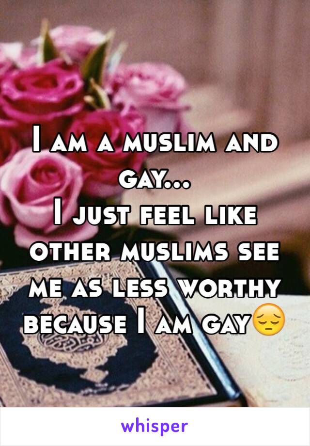 I am a muslim and gay...
I just feel like other muslims see me as less worthy because I am gay😔