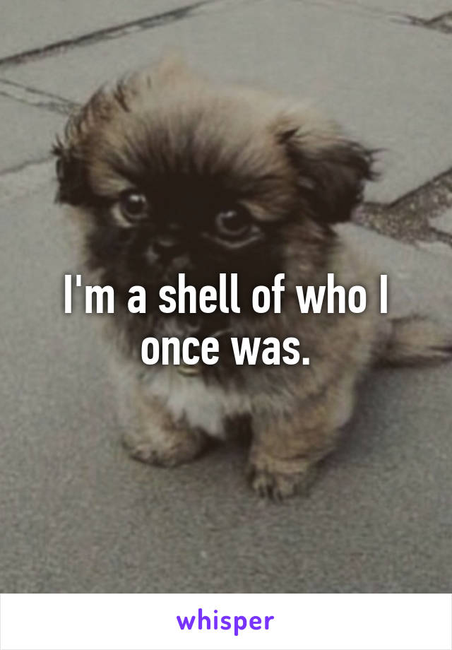 I'm a shell of who I once was.
