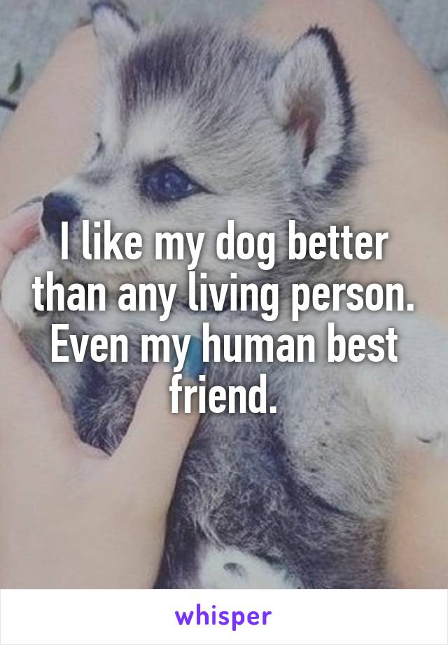 I like my dog better than any living person. Even my human best friend.