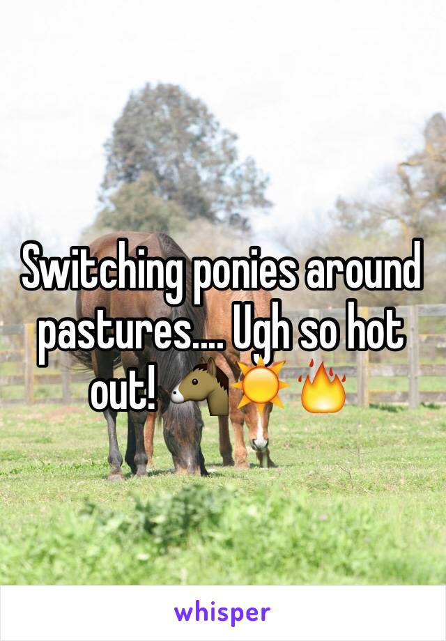 Switching ponies around pastures.... Ugh so hot out! 🐴☀️🔥