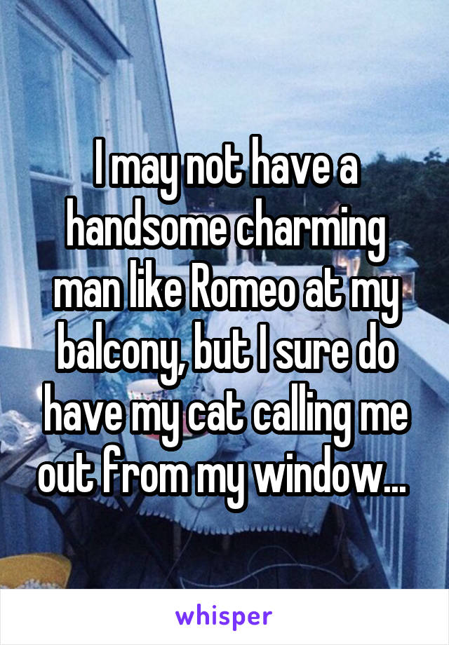 I may not have a handsome charming man like Romeo at my balcony, but I sure do have my cat calling me out from my window... 