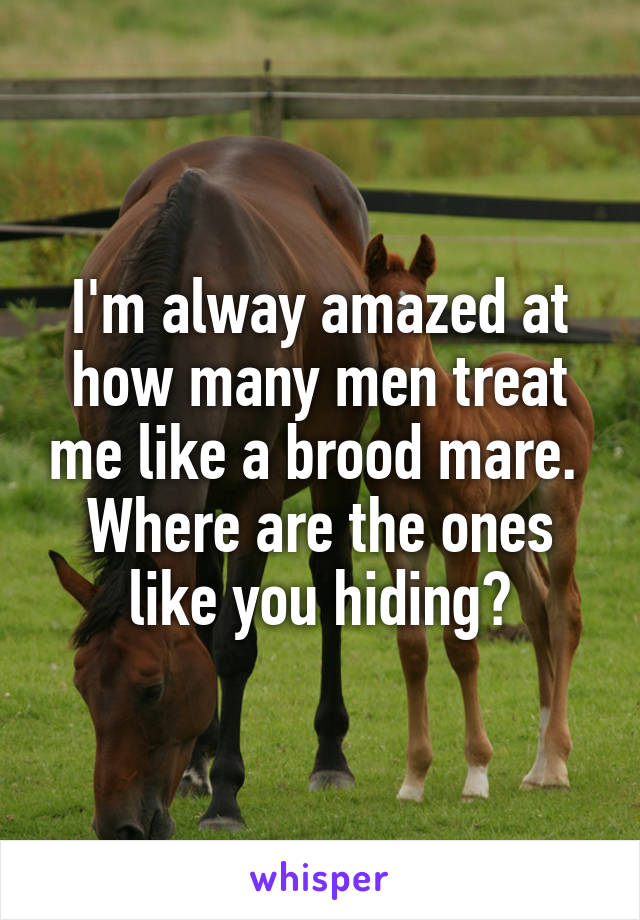I'm alway amazed at how many men treat me like a brood mare. 
Where are the ones like you hiding?
