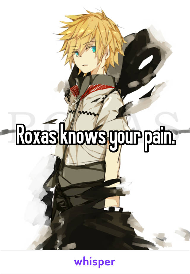 Roxas knows your pain.
