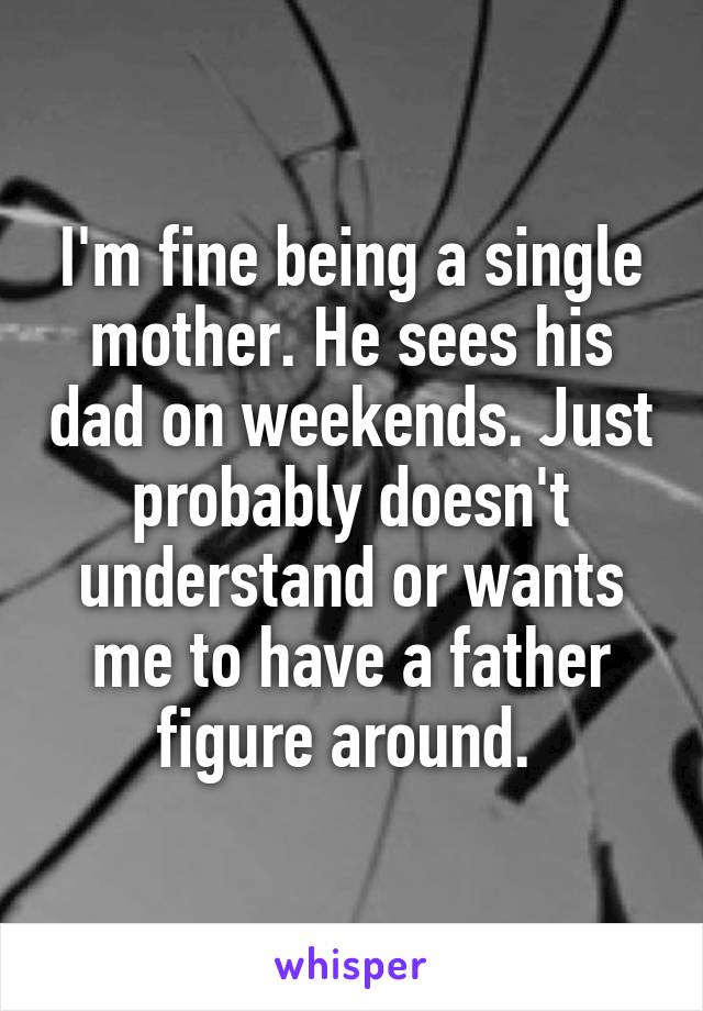 I'm fine being a single mother. He sees his dad on weekends. Just probably doesn't understand or wants me to have a father figure around. 