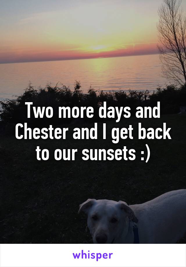 Two more days and Chester and I get back to our sunsets :)