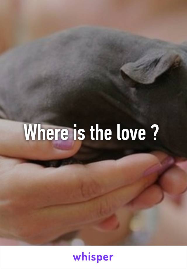 Where is the love ? 