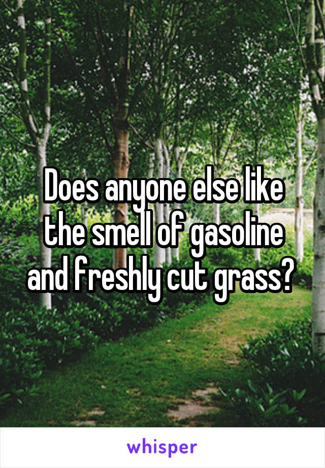 Does anyone else like the smell of gasoline and freshly cut grass? 