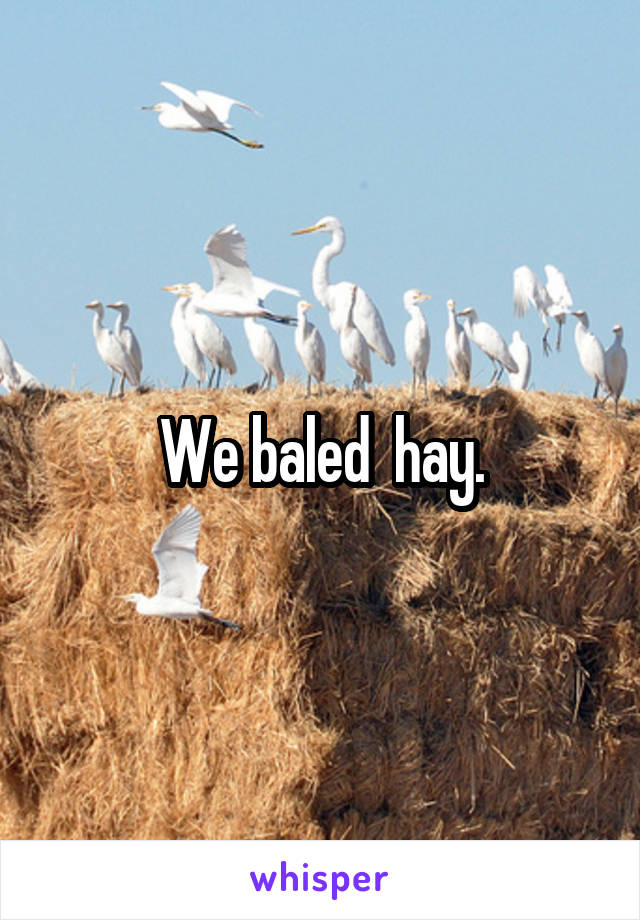 We baled  hay.