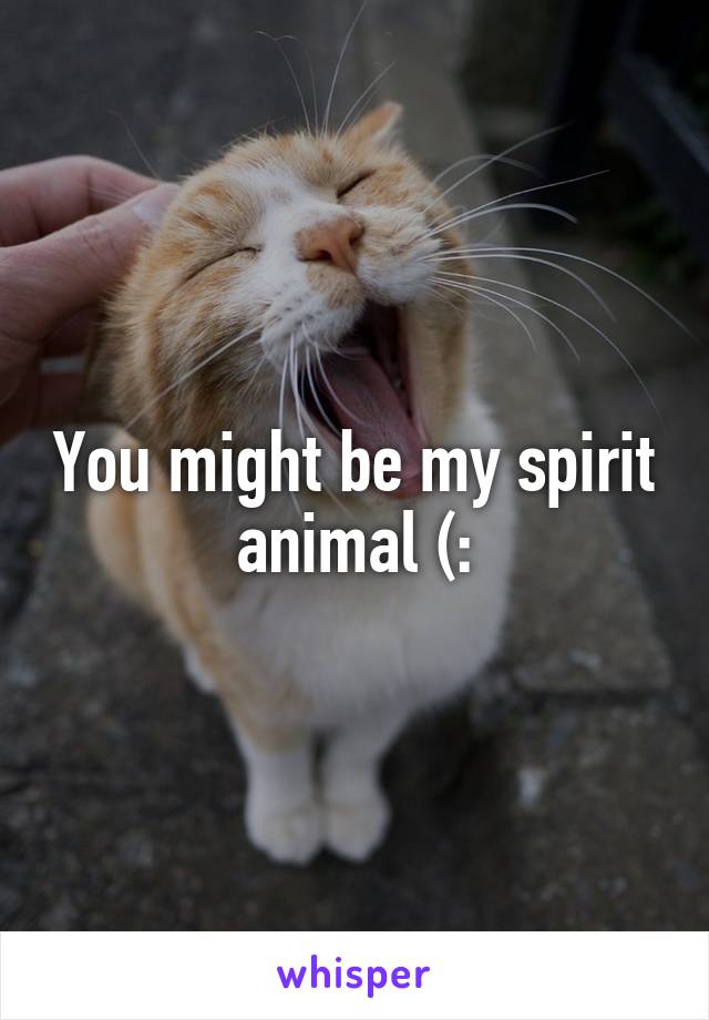 You might be my spirit animal (: