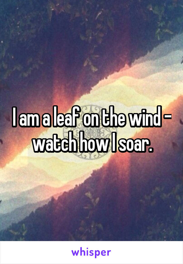 I am a leaf on the wind - watch how I soar.