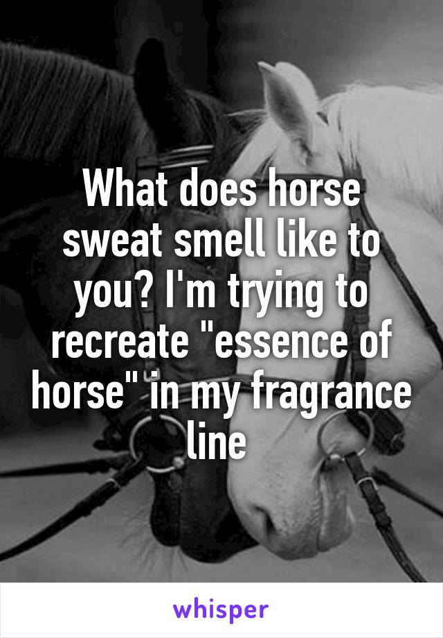 What does horse sweat smell like to you? I'm trying to recreate "essence of horse" in my fragrance line 
