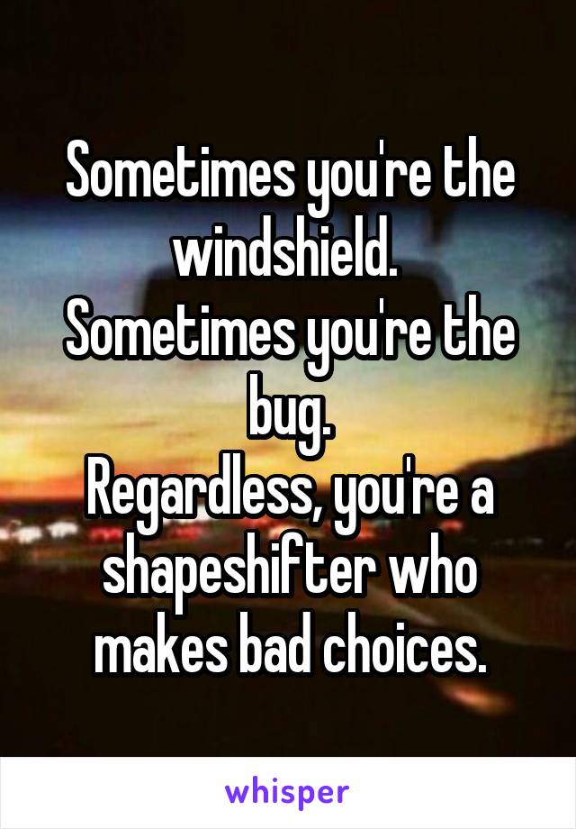 Sometimes you're the windshield. 
Sometimes you're the bug.
Regardless, you're a shapeshifter who makes bad choices.